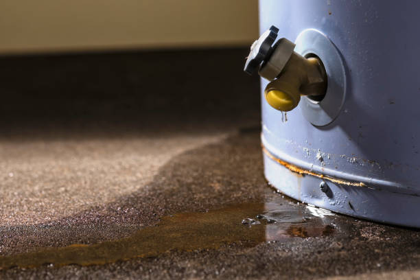  Mclean, VA Water damage restoration Pros
