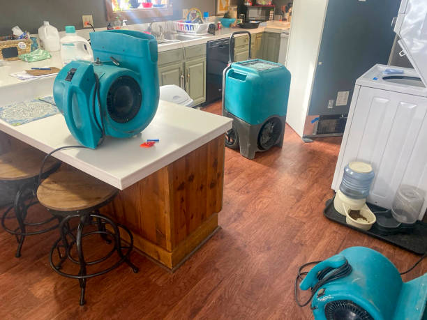 24/7 water damage repair in VA