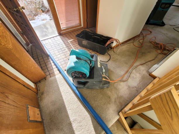 Best Water damage contractors near me  in Mclean, VA
