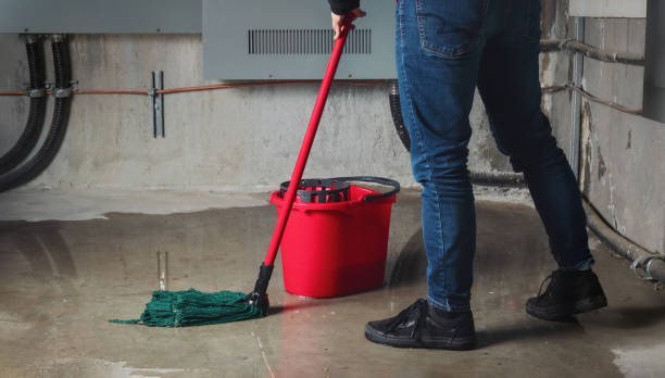 Best Flood damage cleanup  in Mclean, VA