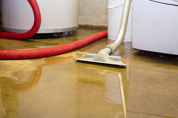 Best Water damage cleanup near me  in Mclean, VA