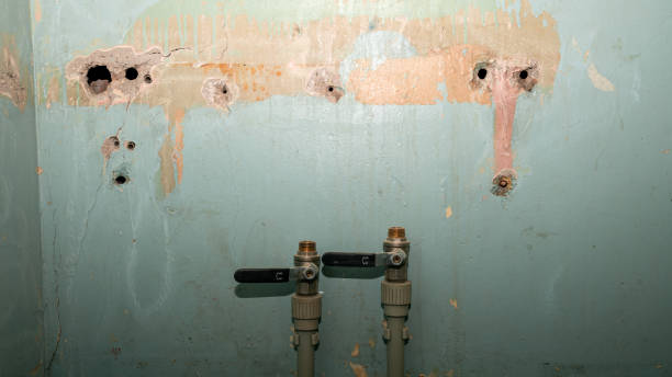 Best Water damage mitigation services  in Mclean, VA